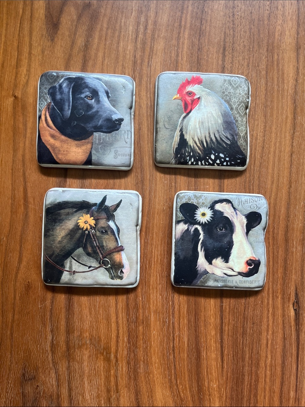 Animal Coasters